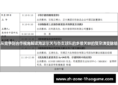 从竞争到合作视角解读海瑟尔关与各支球队的多维关联的复杂演变脉络
