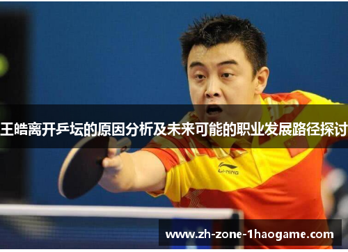 王皓离开乒坛的原因分析及未来可能的职业发展路径探讨 王皓离开乒坛的原因分析及未来可能的职业发展路径探讨