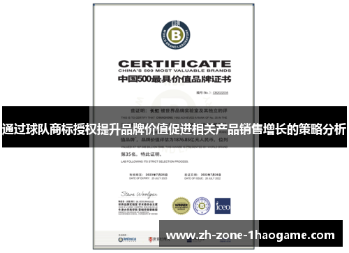 通过球队商标授权提升品牌价值促进相关产品销售增长的策略分析 通过球队商标授权提升品牌价值促进相关产品销售增长的策略分析